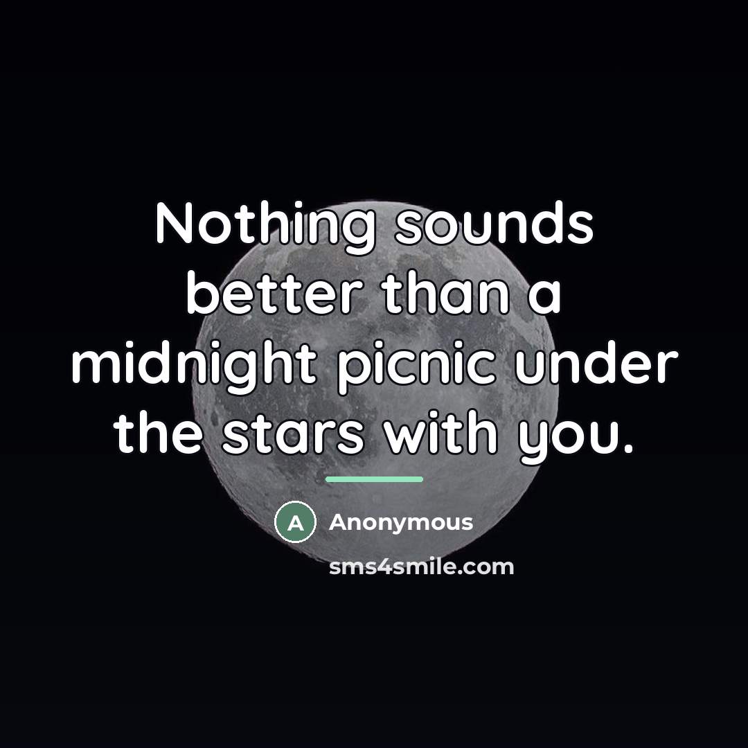 “Nothing sounds better than a midnight picnic under the stars…” quote by Anonymous