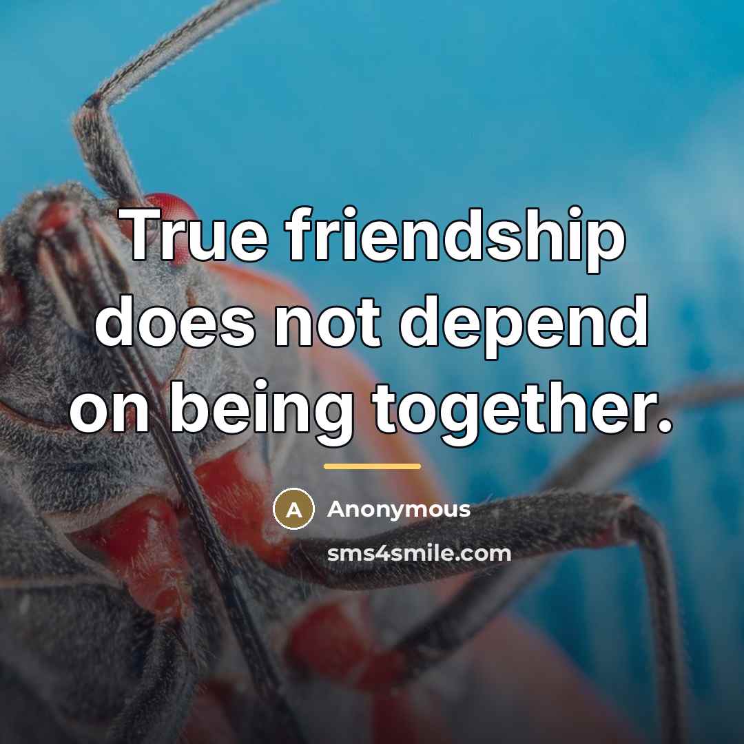 “True friendship does not depend on being together.…” quote by Anonymous