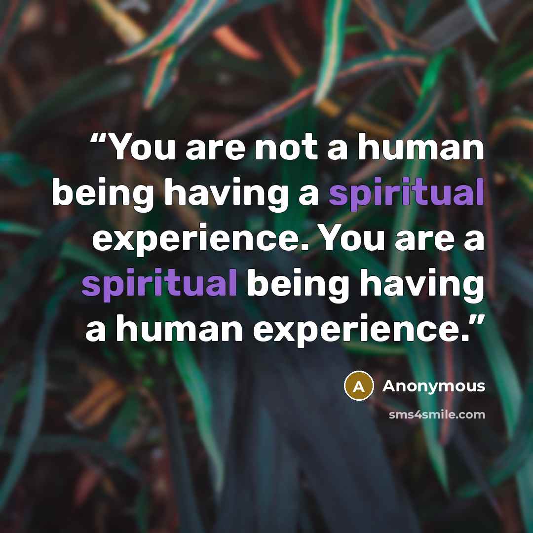 “You are not a human being having a spiritual experience. You are a spiritual being having a human experience.” quote by Anonymous
