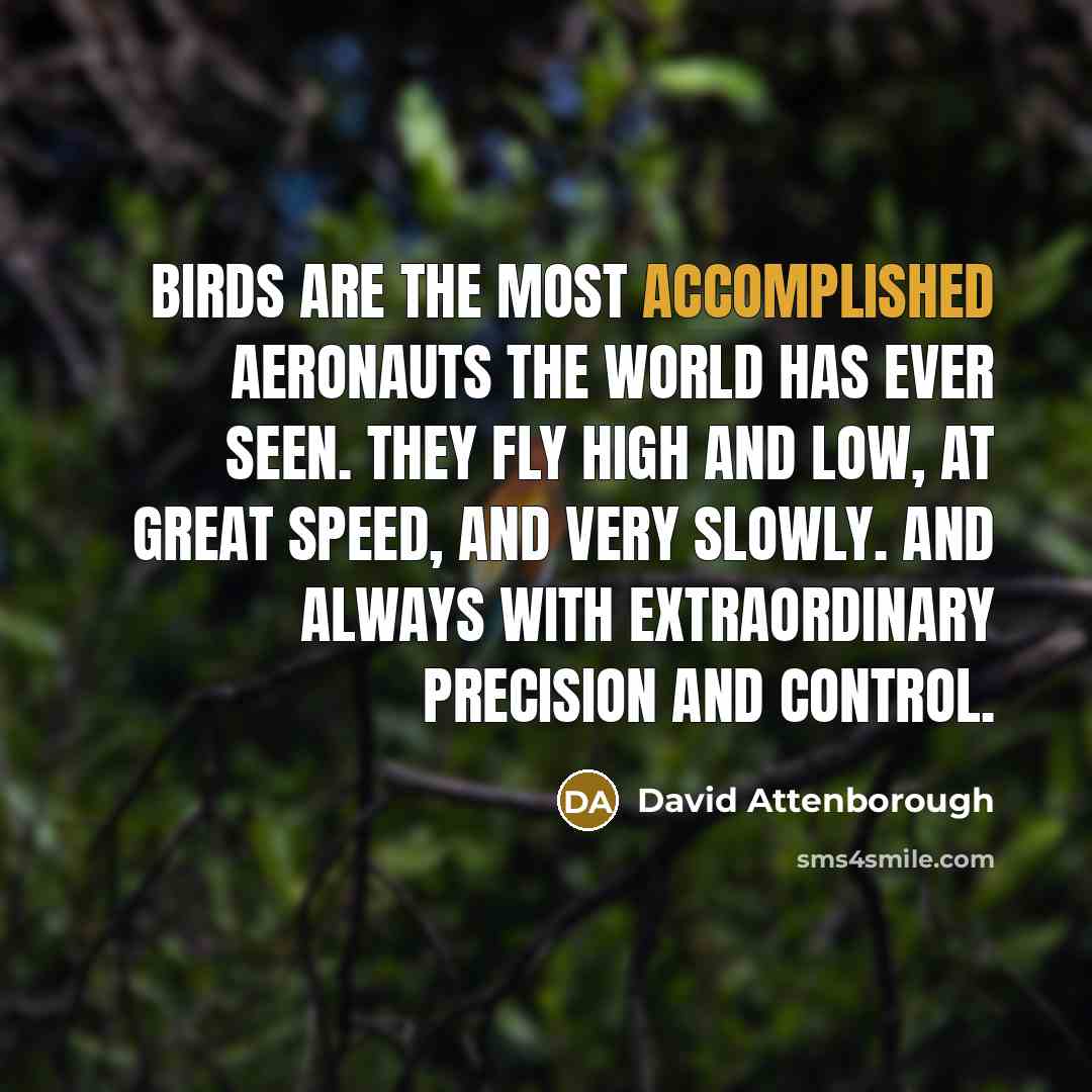 “Birds are the most accomplished aeronauts the world has ever…” quote by David Attenborough