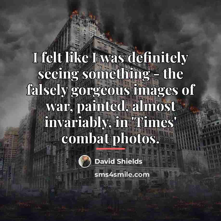 “I felt like I was definitely seeing something - the…” quote by David Shields