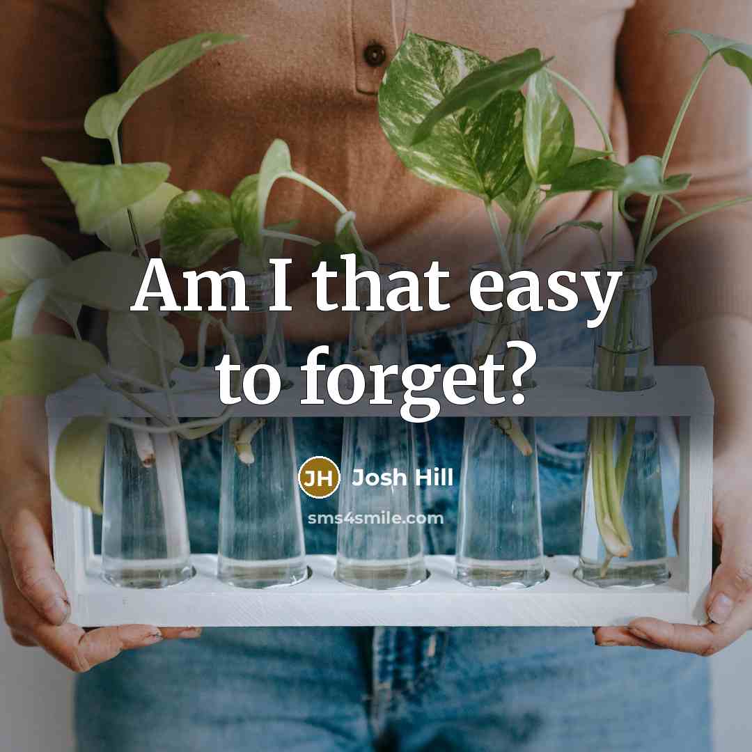 “Am I that easy to forget?…” quote by Josh Hill