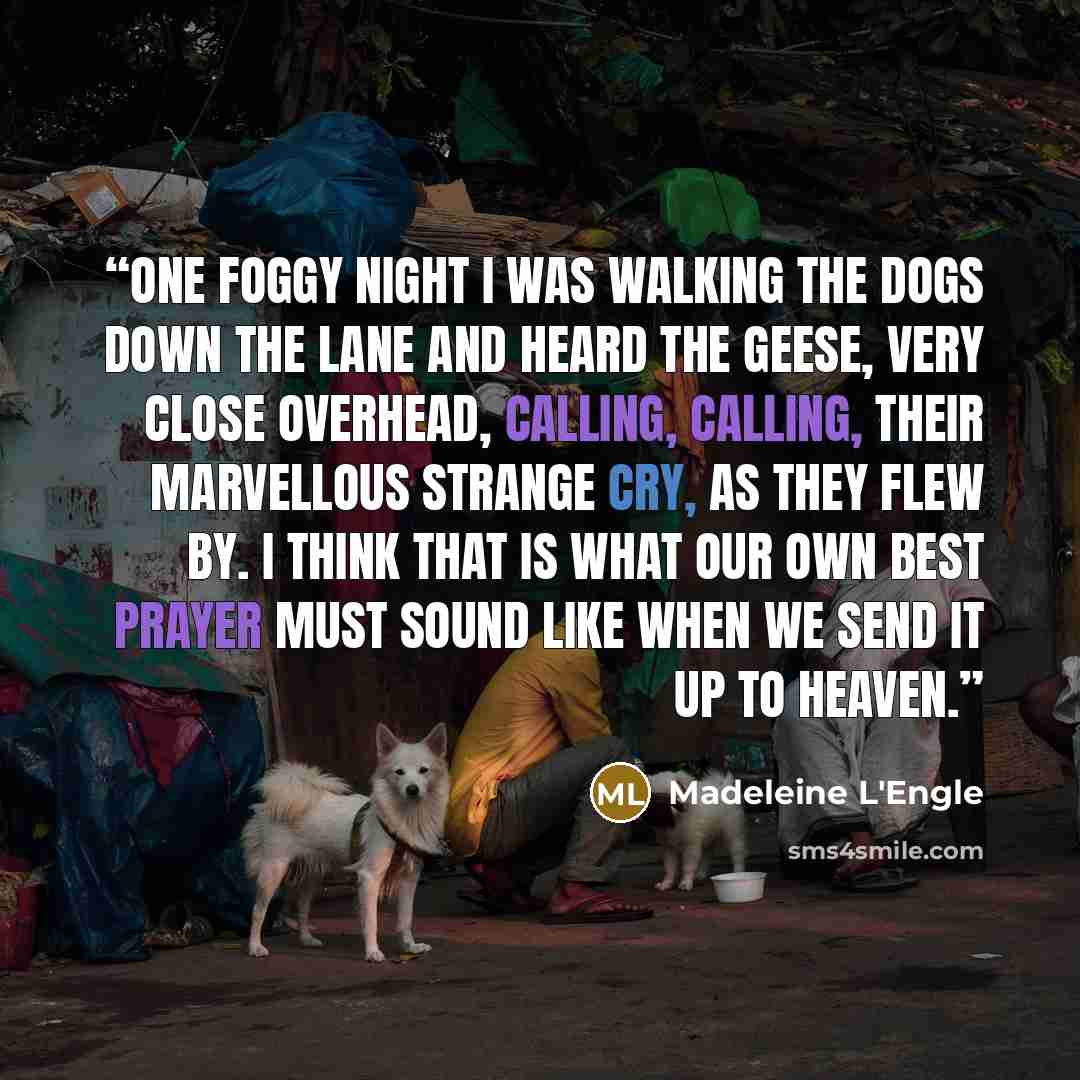 “One foggy night I was walking the dogs down the lane and heard the geese, very close overhead, calling, calling, their marvellous strange cry, as they flew by. I think that is what our own best prayer must sound like when we send it up to heaven.” quote by Madeleine L'Engle