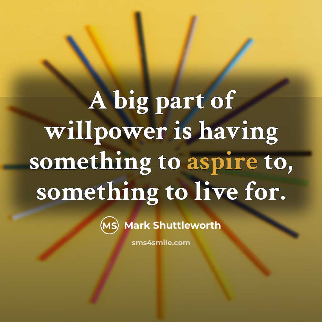 “A big part of willpower is having something to aspire…” quote by Mark Shuttleworth