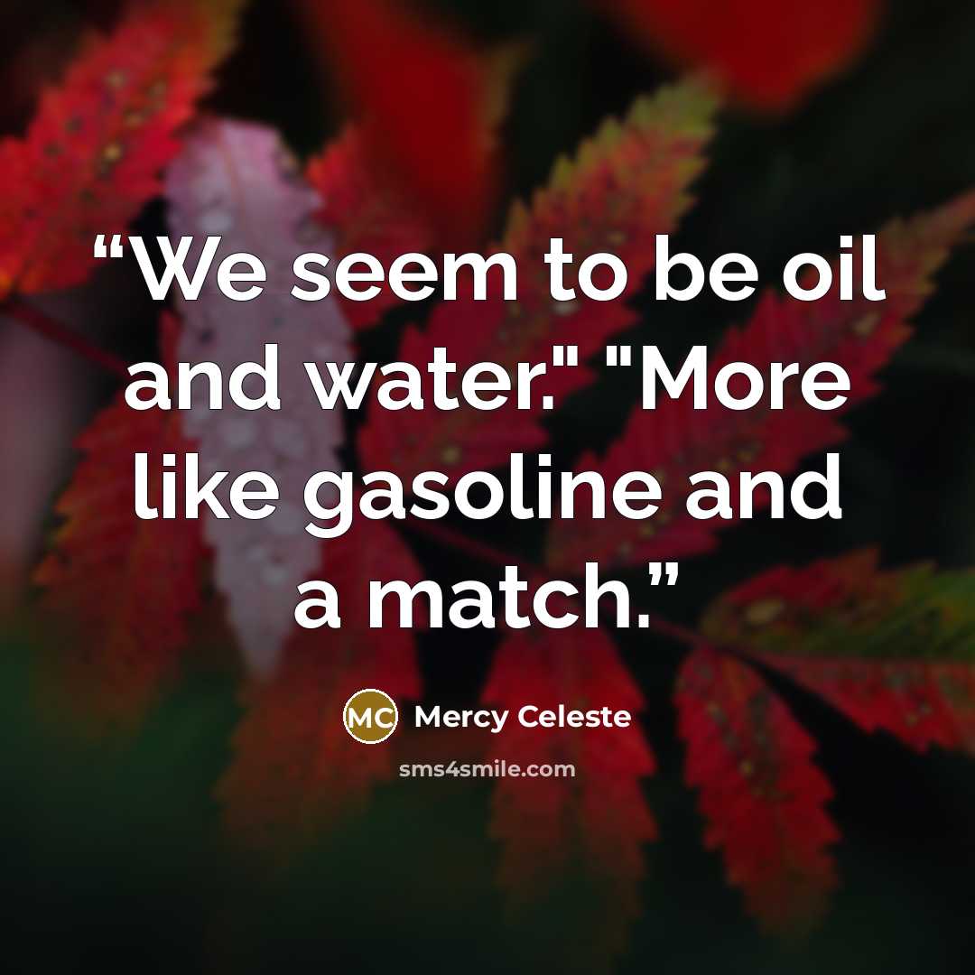 “We seem to be oil and water." "More like gasoline and a match.” quote by Mercy Celeste