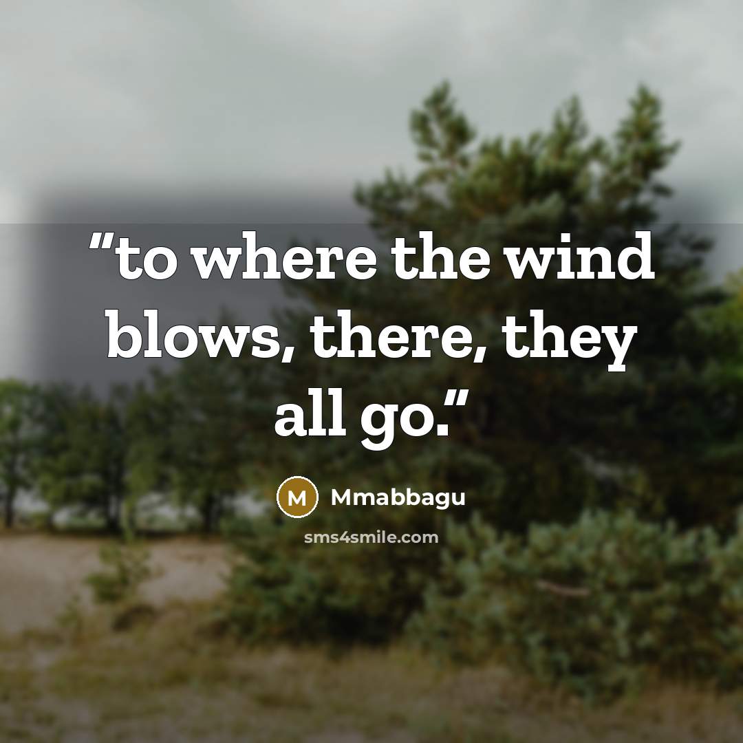 “to where the wind blows, there, they all go.” quote by Mmabbagu
