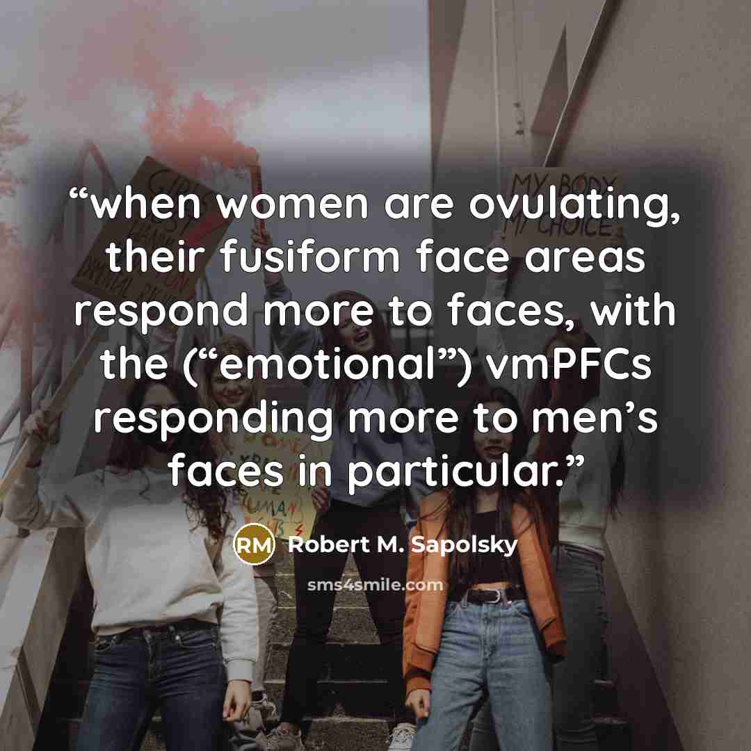 “when women are ovulating, their fusiform face areas respond more to faces, with the (“emotional”) vmPFCs responding more to men’s faces in particular.” quote by Robert M. Sapolsky