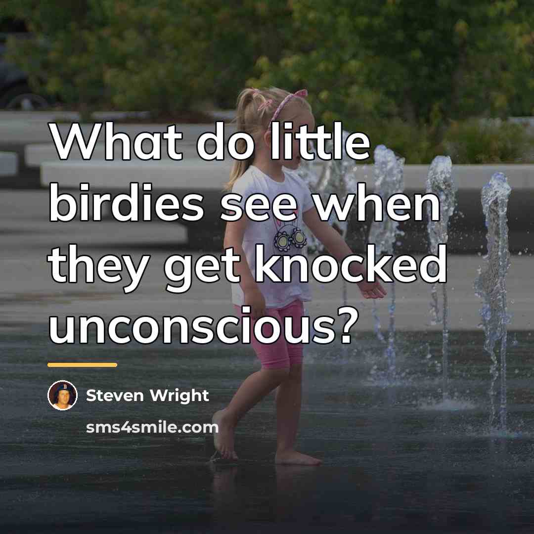 “What do little birdies see when they get knocked unconscious?…” quote by Steven Wright