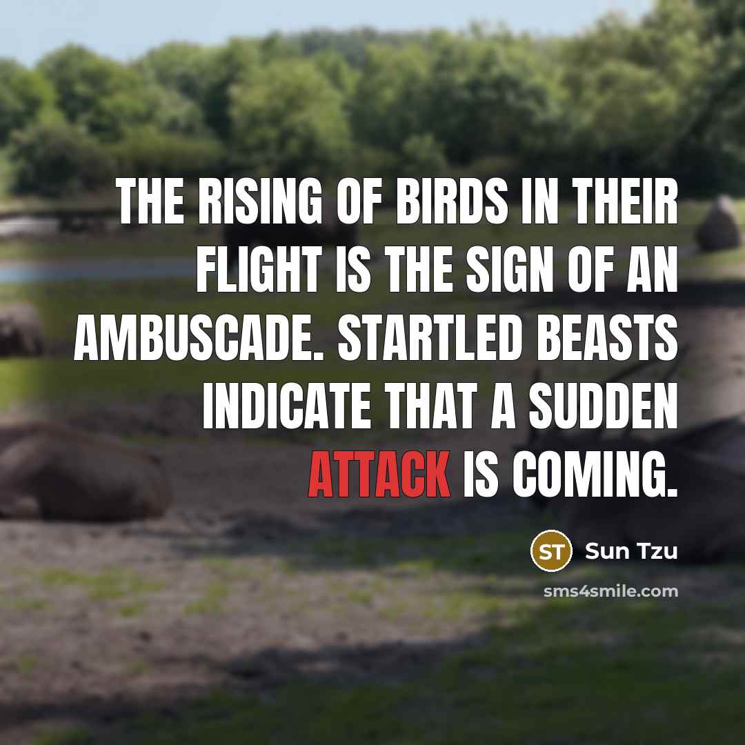 “The rising of birds in their flight is the sign…” quote by Sun Tzu