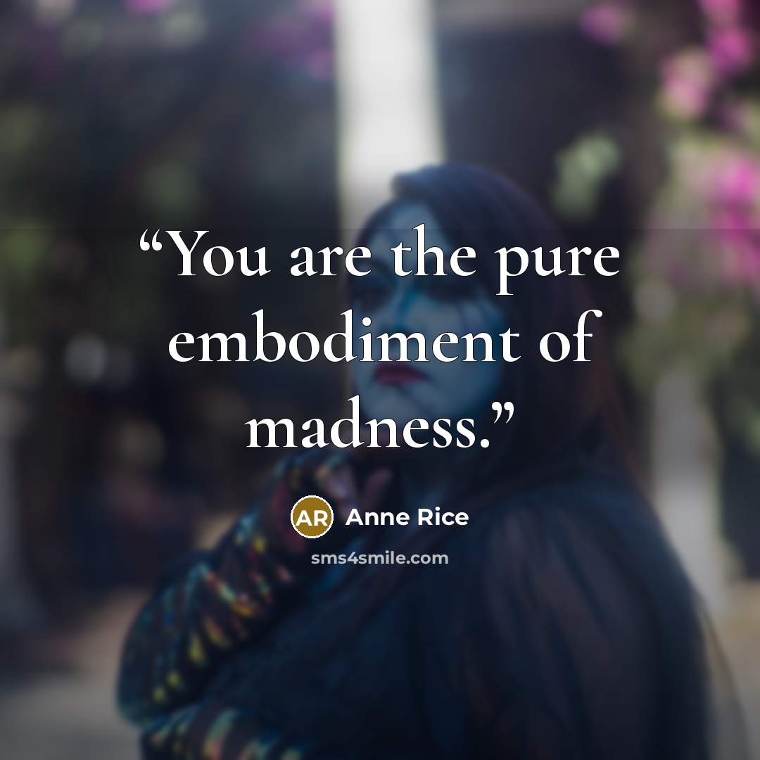 “You are the pure embodiment of madness.” quote by Anne Rice