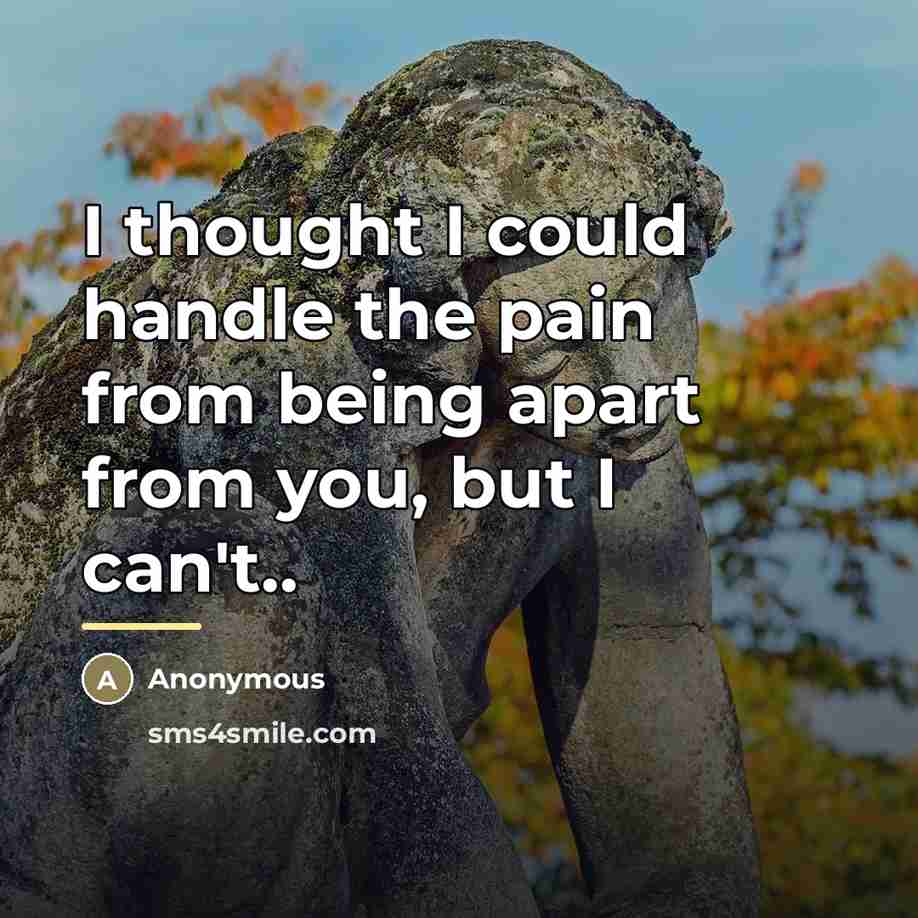 “I thought I could handle the pain from being apart…” quote by Anonymous