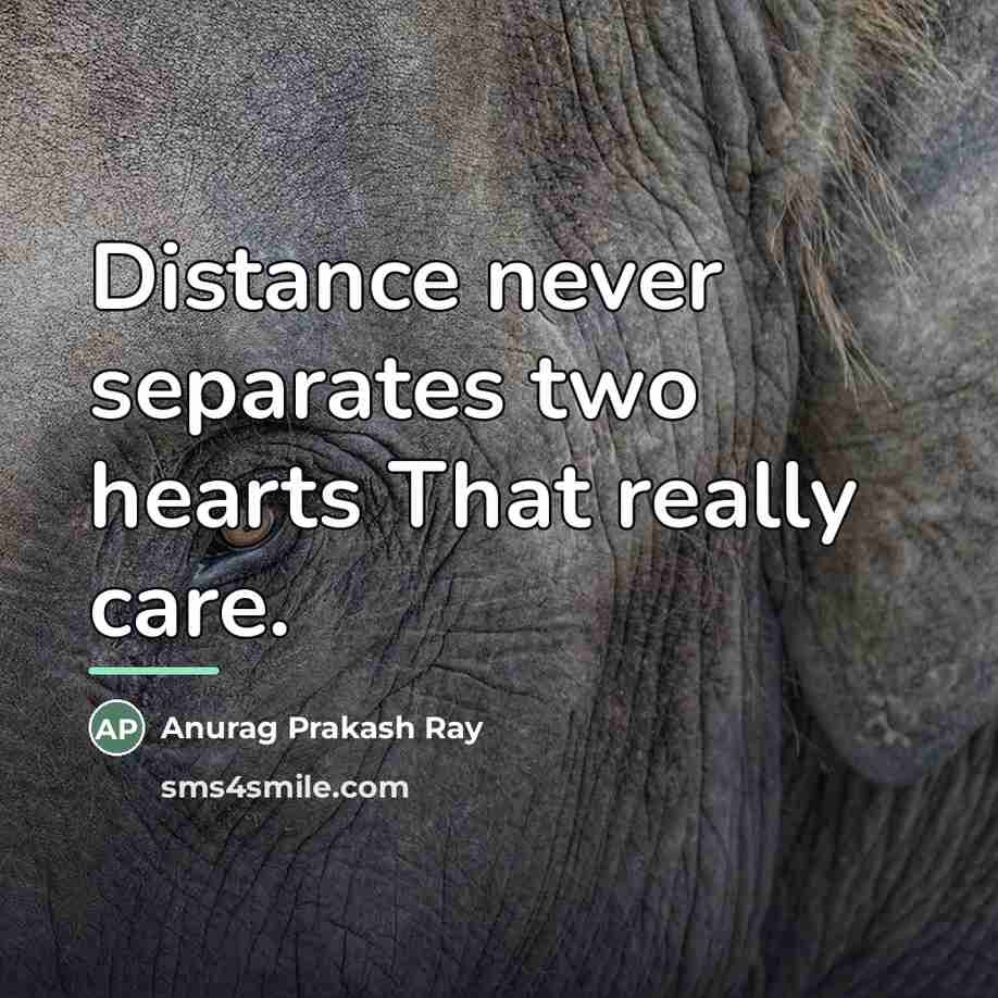 “Distance never separates two hearts That really care.…” quote by Anurag Prakash Ray