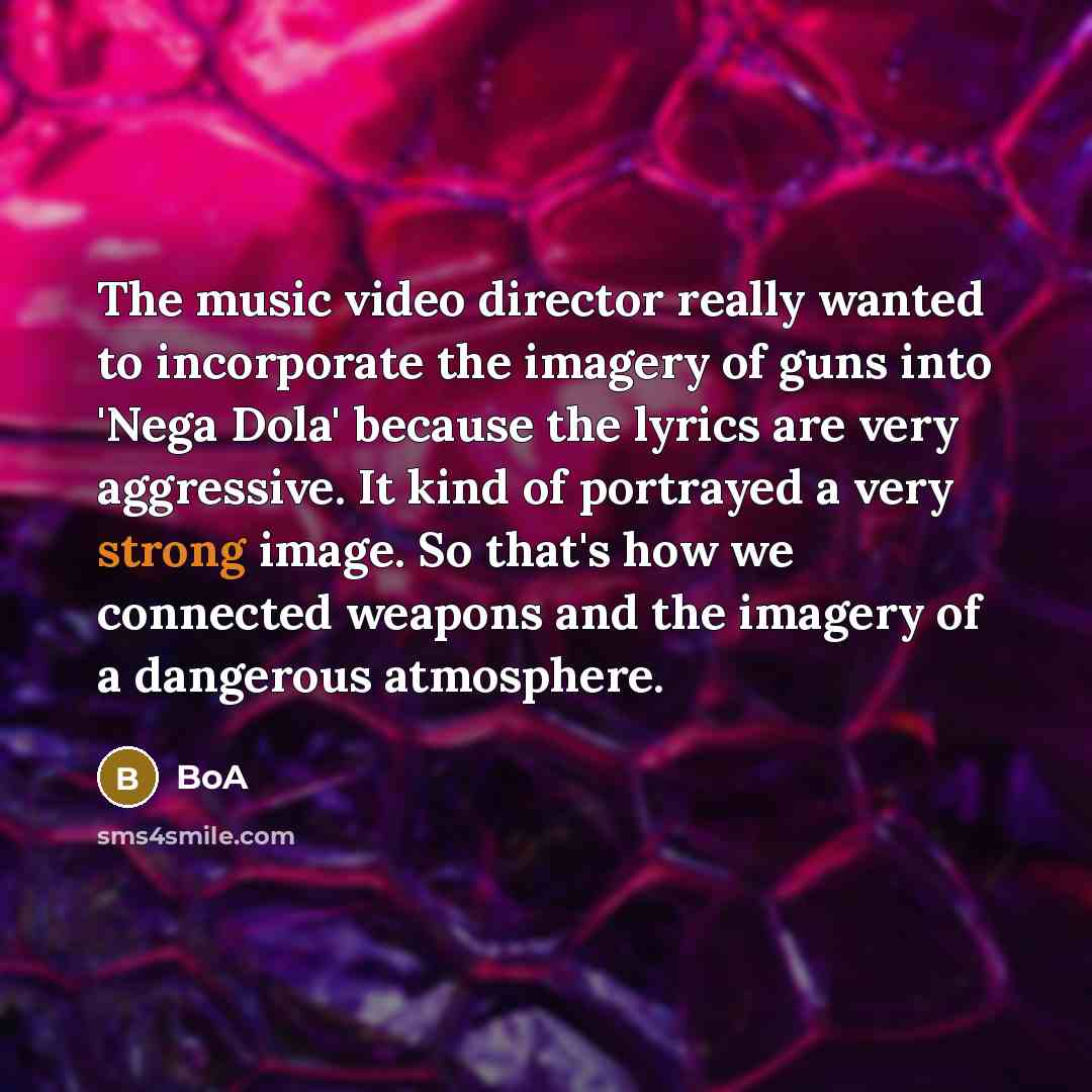 “The music video director really wanted to incorporate the imagery…” quote by BoA