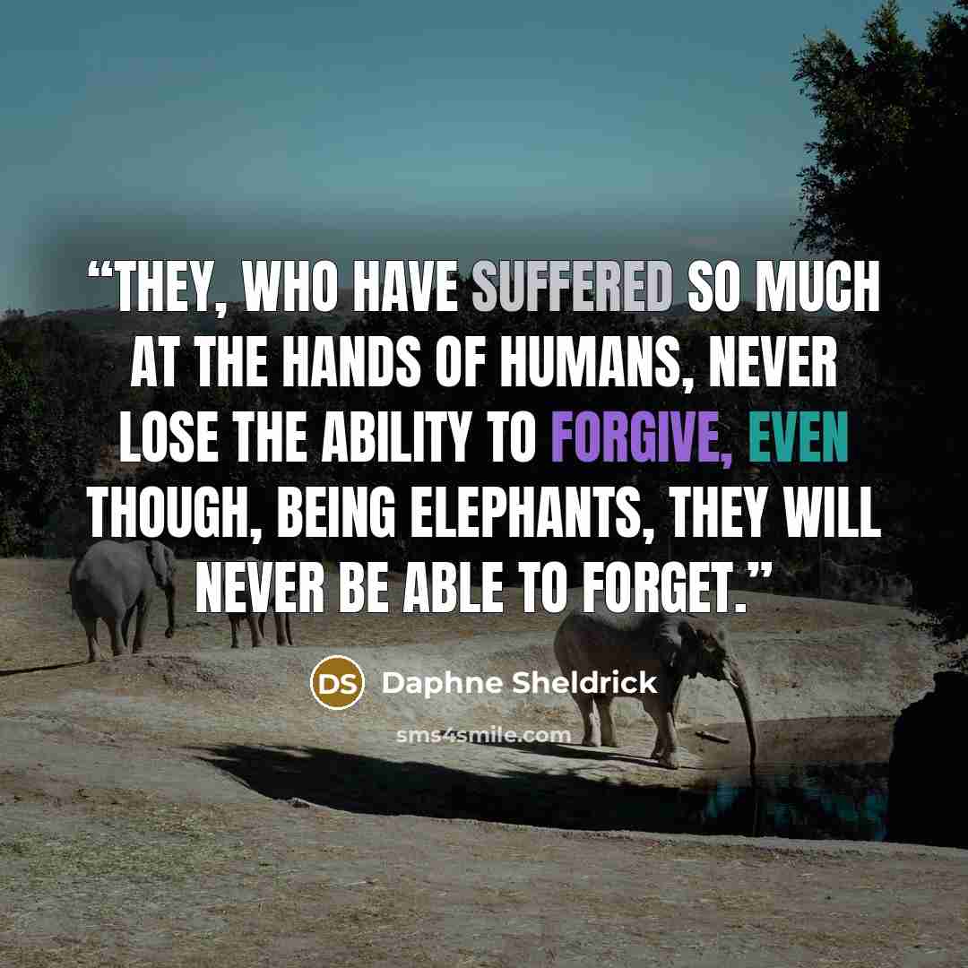 “They, who have suffered so much at the hands of humans, never lose the ability to forgive, even though, being elephants, they will never be able to forget.” quote by Daphne Sheldrick