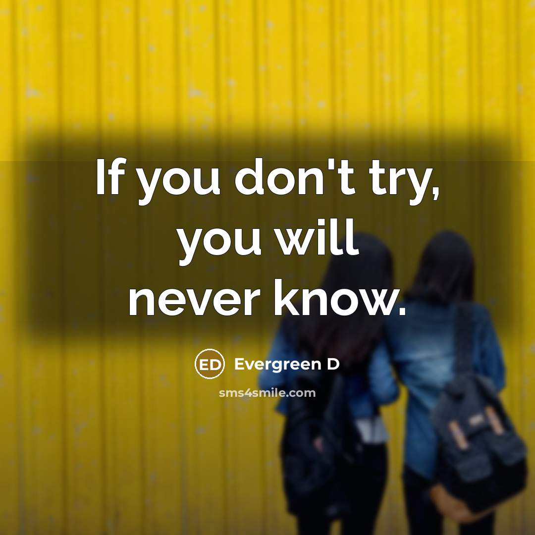 “If you don't try, you will never know.…” quote by Evergreen D