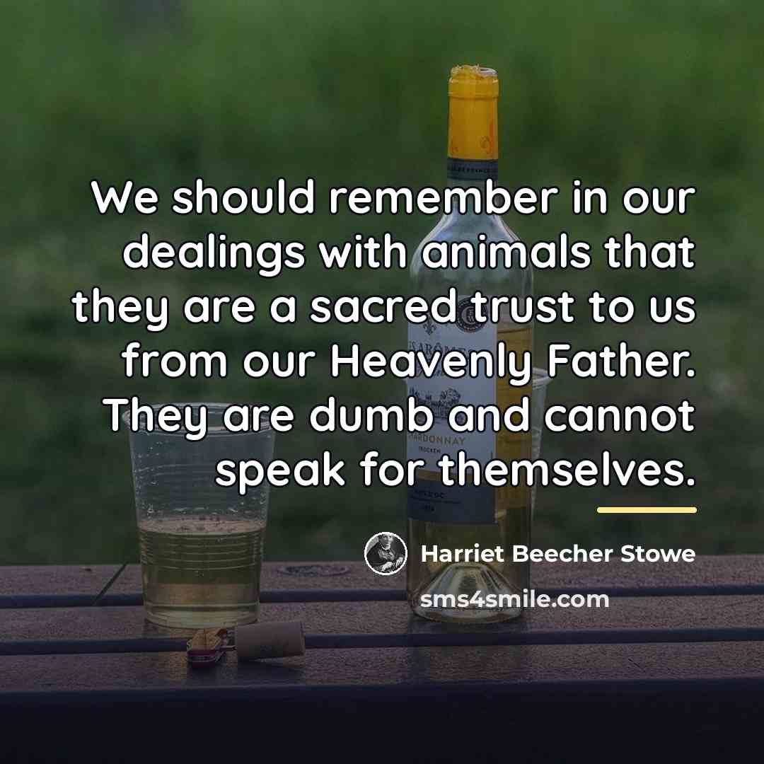 “We should remember in our dealings with animals that they…” quote by Harriet Beecher Stowe