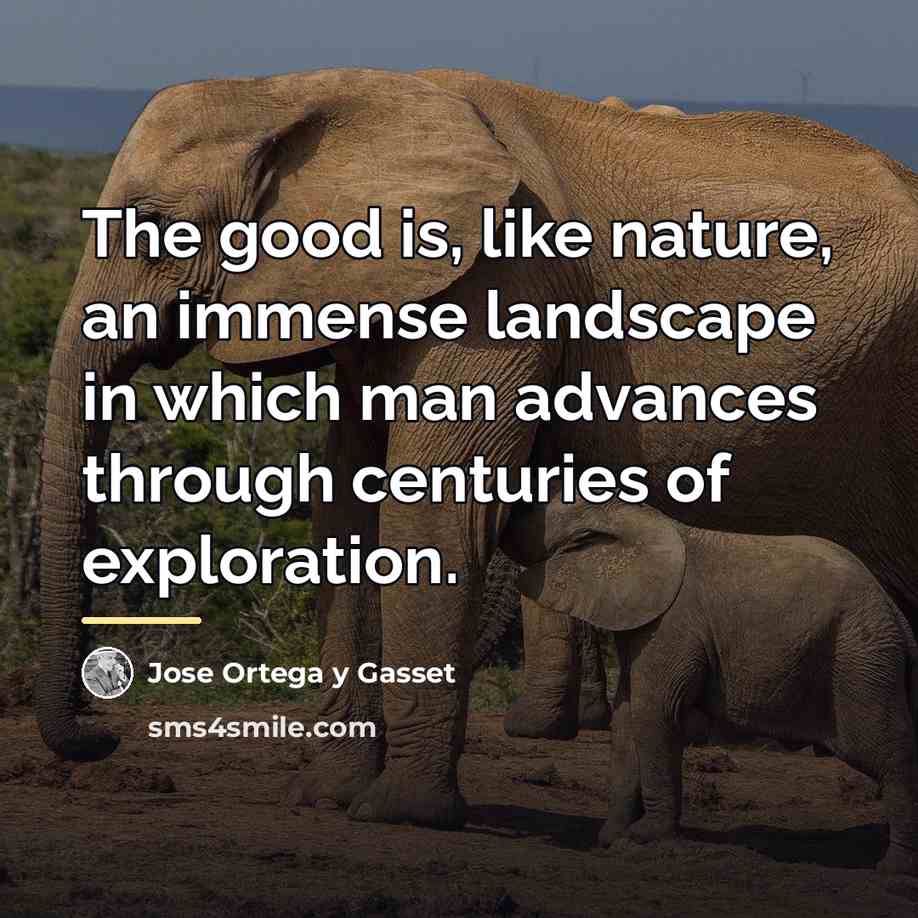 “The good is, like nature, an immense landscape in which…” quote by Jose Ortega y Gasset