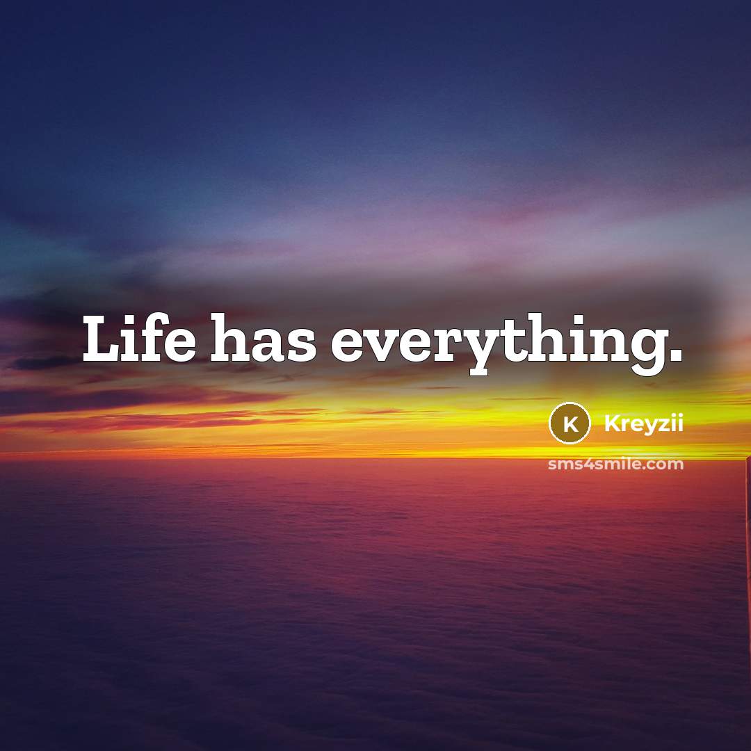 “Life has everything.…” quote by Kreyzii
