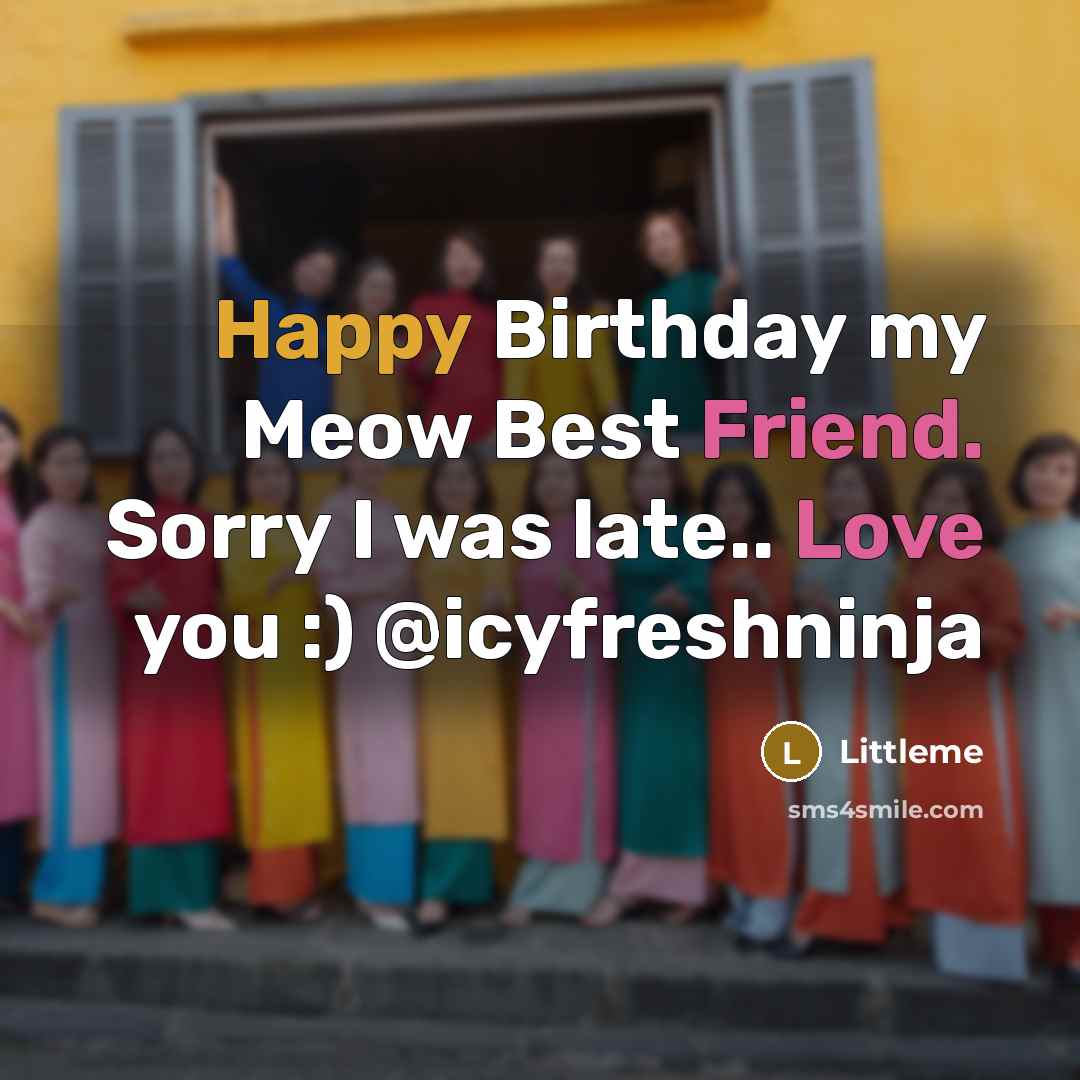 “Happy Birthday my Meow Best Friend. Sorry I was late..…” quote by Littleme