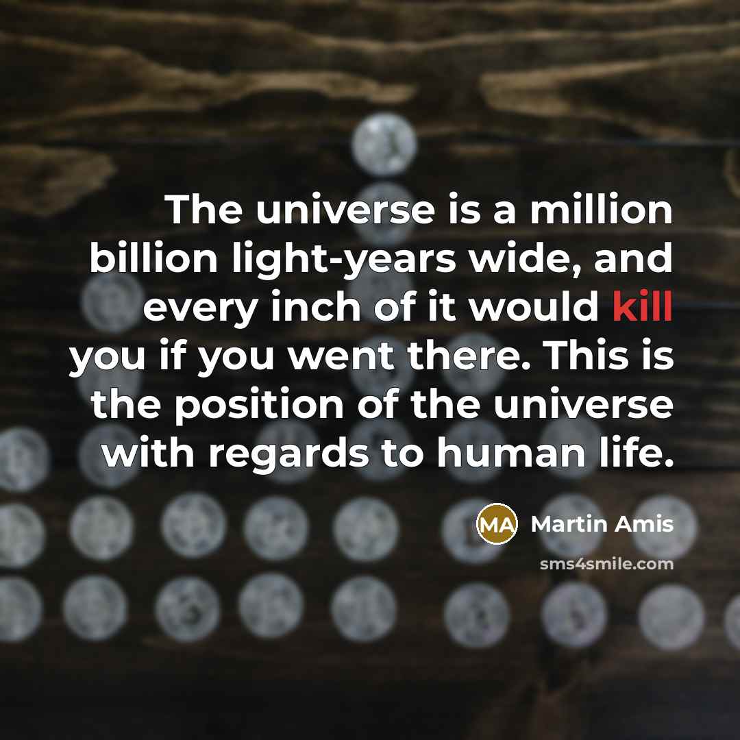 “The universe is a million billion light-years wide, and every…” quote by Martin Amis