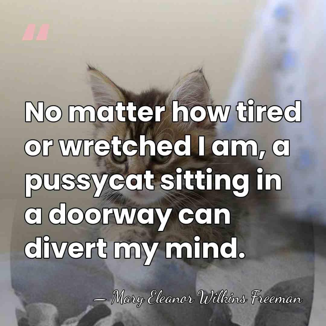 No matter how tired or wretched I am, a pussycat sitting in&hellip; - Mary Eleanor Wilkins Freeman