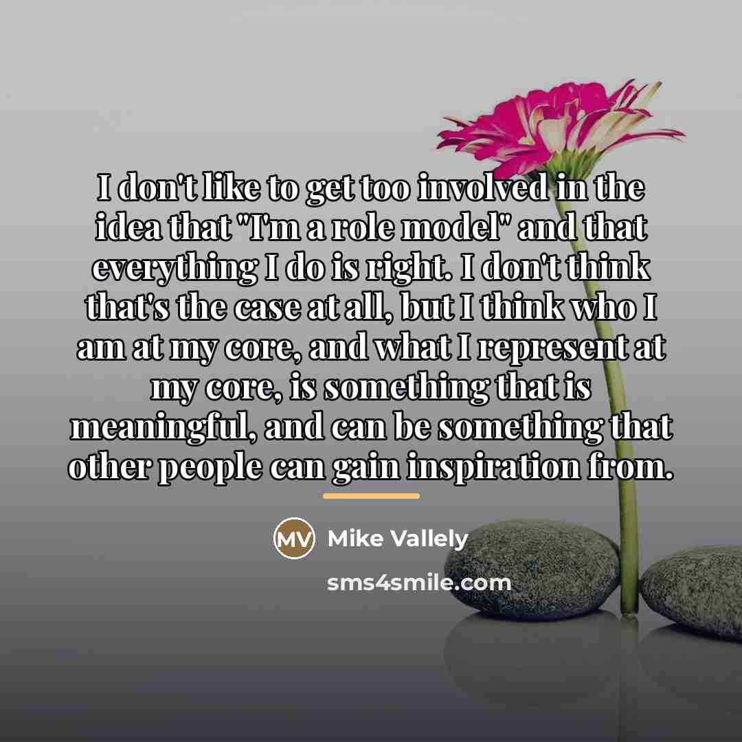 “I don't like to get too involved in the idea…” quote by Mike Vallely