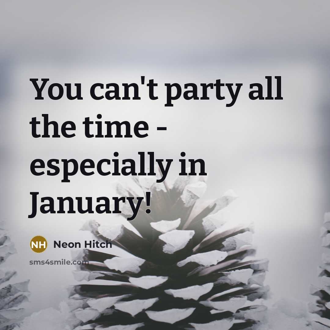 “You can't party all the time - especially in January!” quote by Neon Hitch