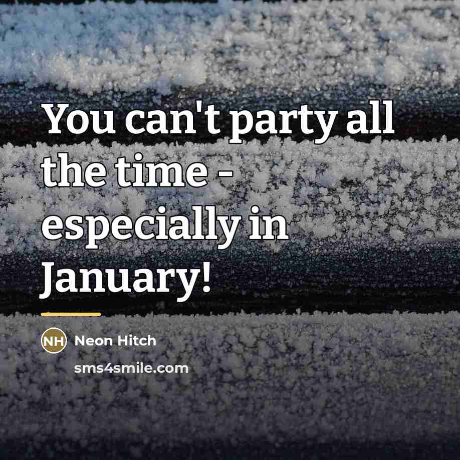 “You can't party all the time - especially in January!…” quote by Neon Hitch