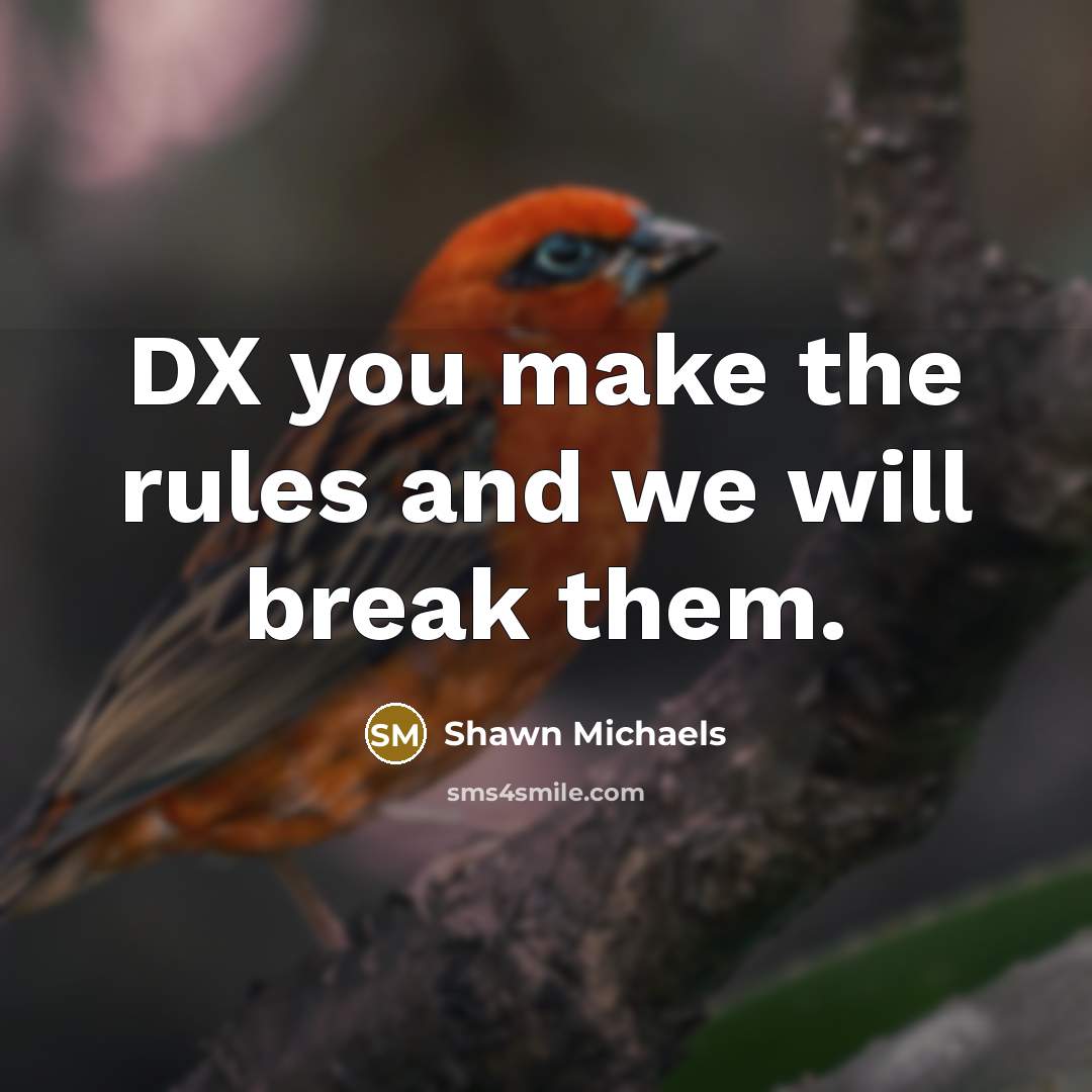 “DX you make the rules and we will break them.…” quote by Shawn Michaels
