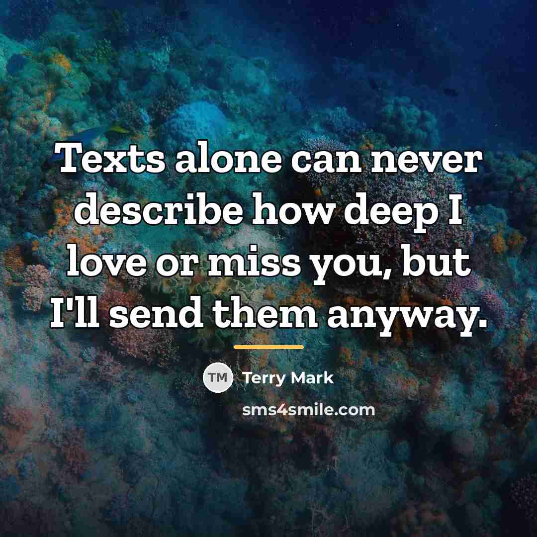 “Texts alone can never describe how deep I love or…” quote by Terry Mark