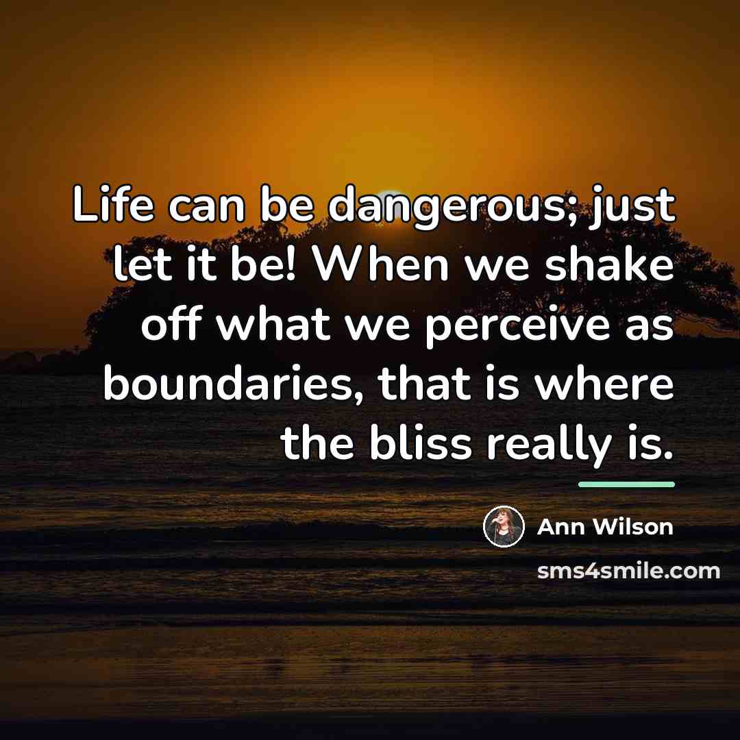 “Life can be dangerous; just let it be! When we…” quote by Ann Wilson