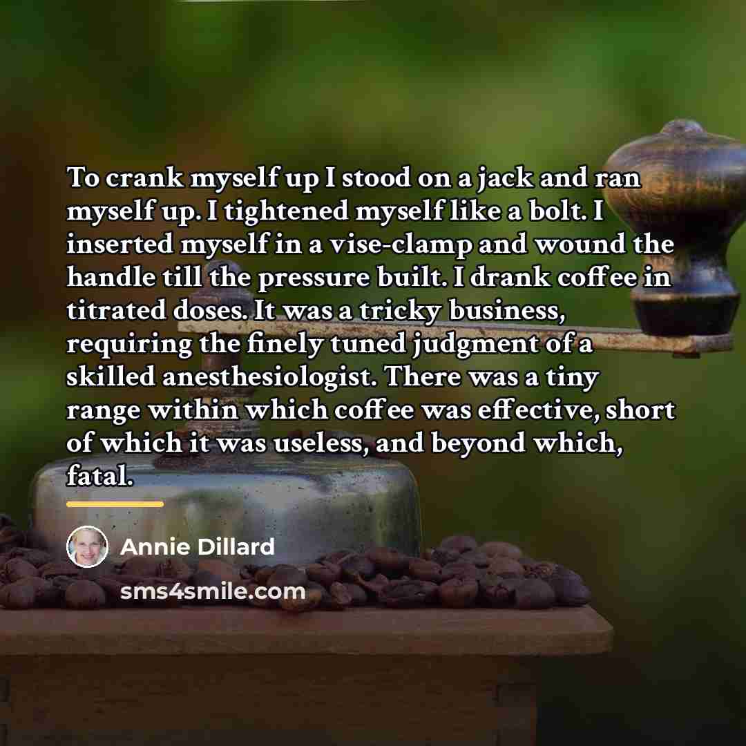 “To crank myself up I stood on a jack and…” quote by Annie Dillard