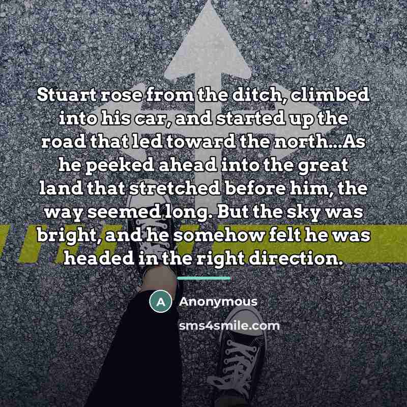 “Stuart rose from the ditch, climbed into his car, and…” quote by Anonymous