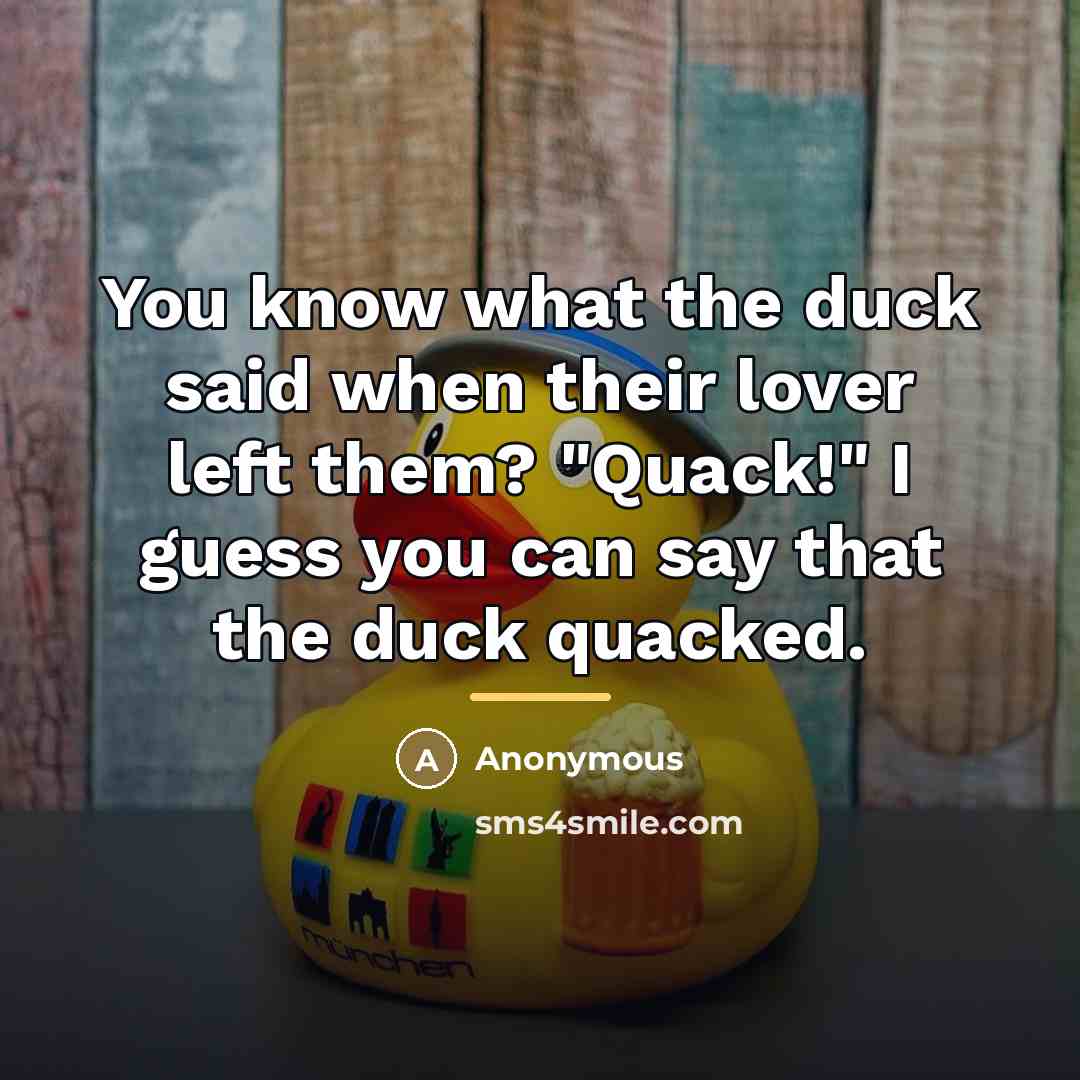 “You know what the duck said when their lover left…” quote by Anonymous