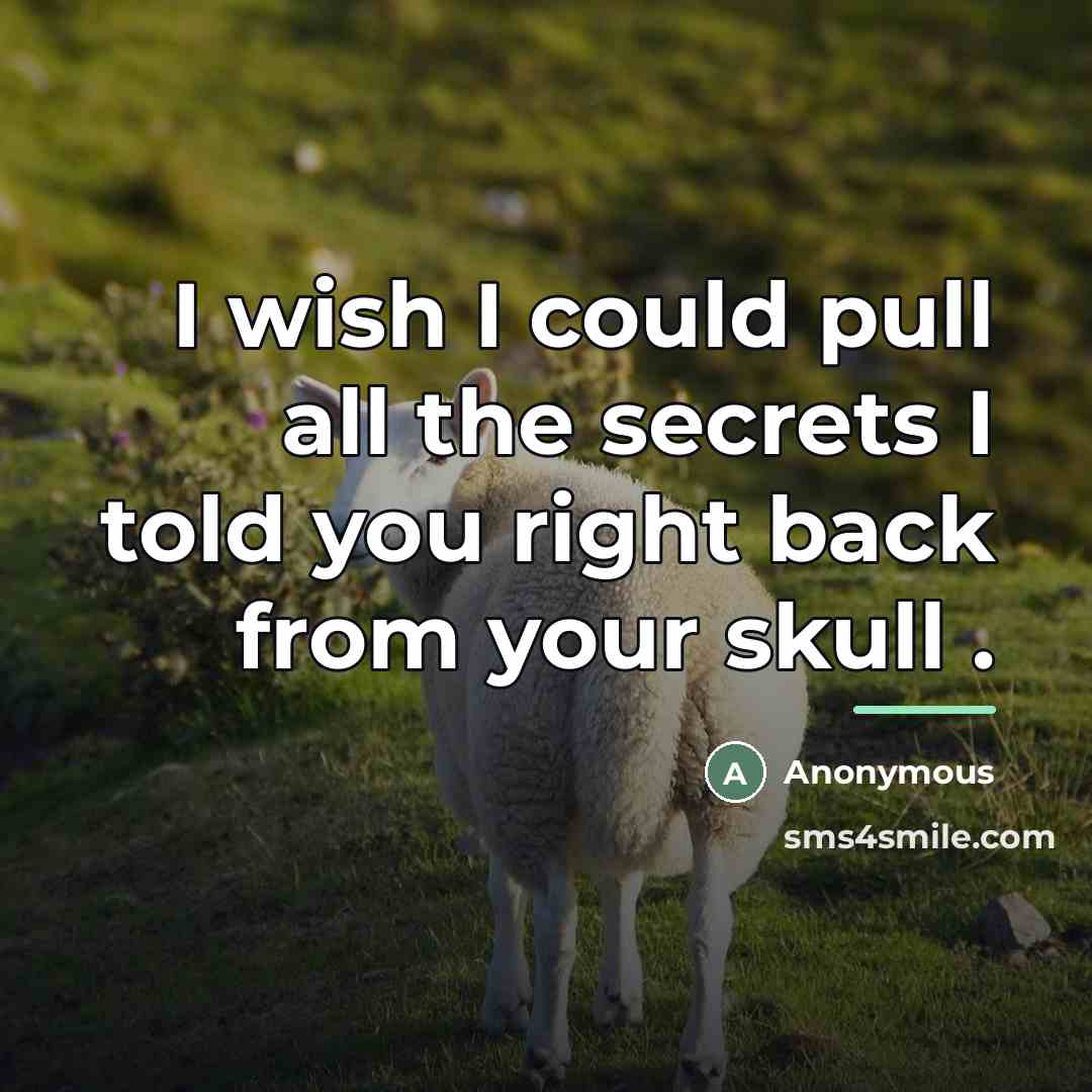 “I wish I could pull all the secrets I told…” quote by Anonymous