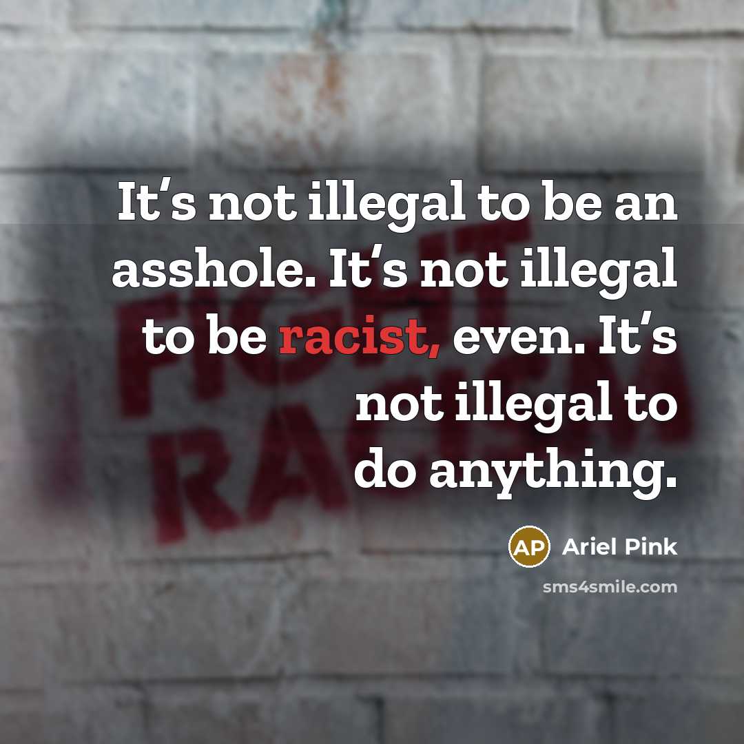 “It’s not illegal to be an asshole. It’s not illegal…” quote by Ariel Pink