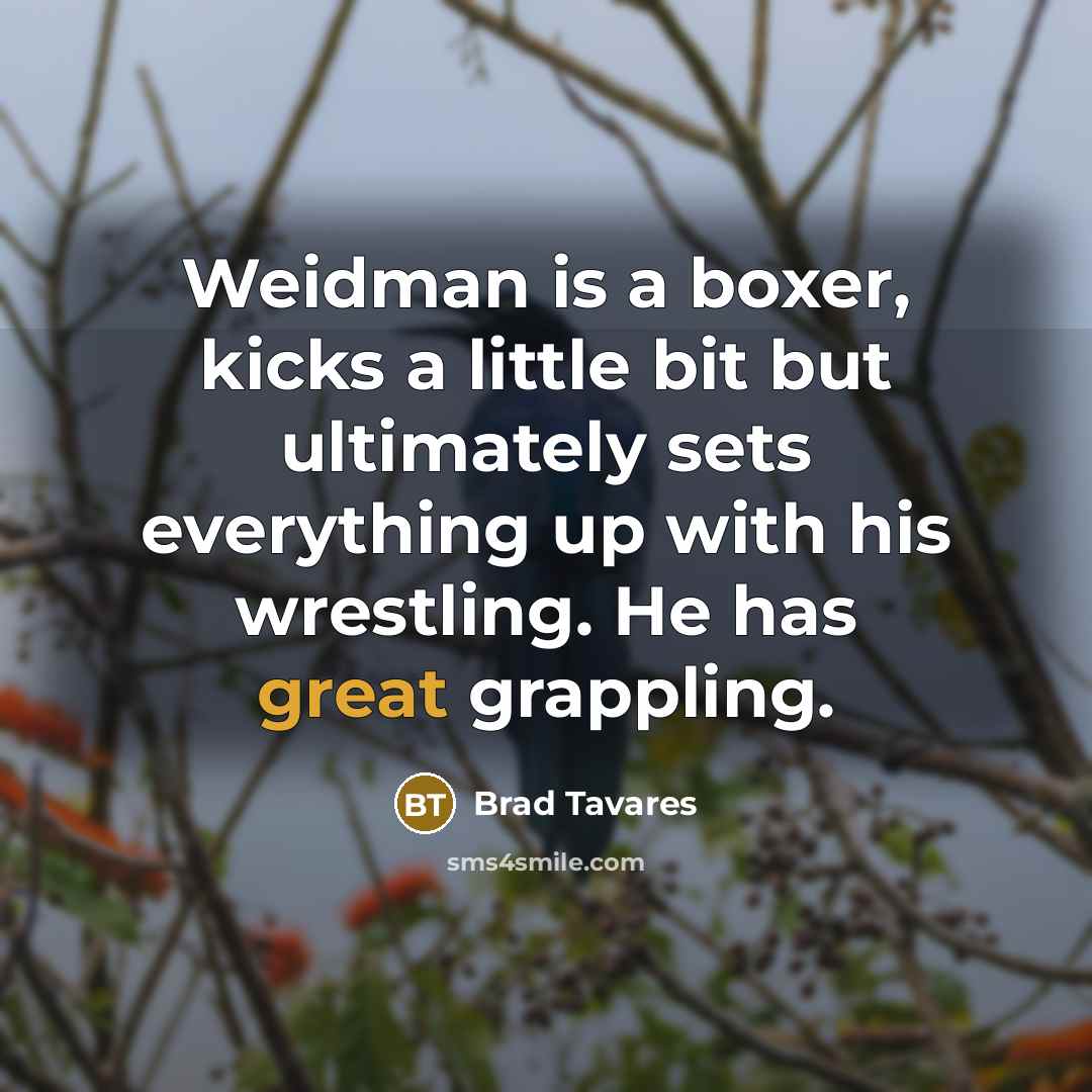 “Weidman is a boxer, kicks a little bit but ultimately sets everything up with his wrestling. He has great grappling.” quote by Brad Tavares