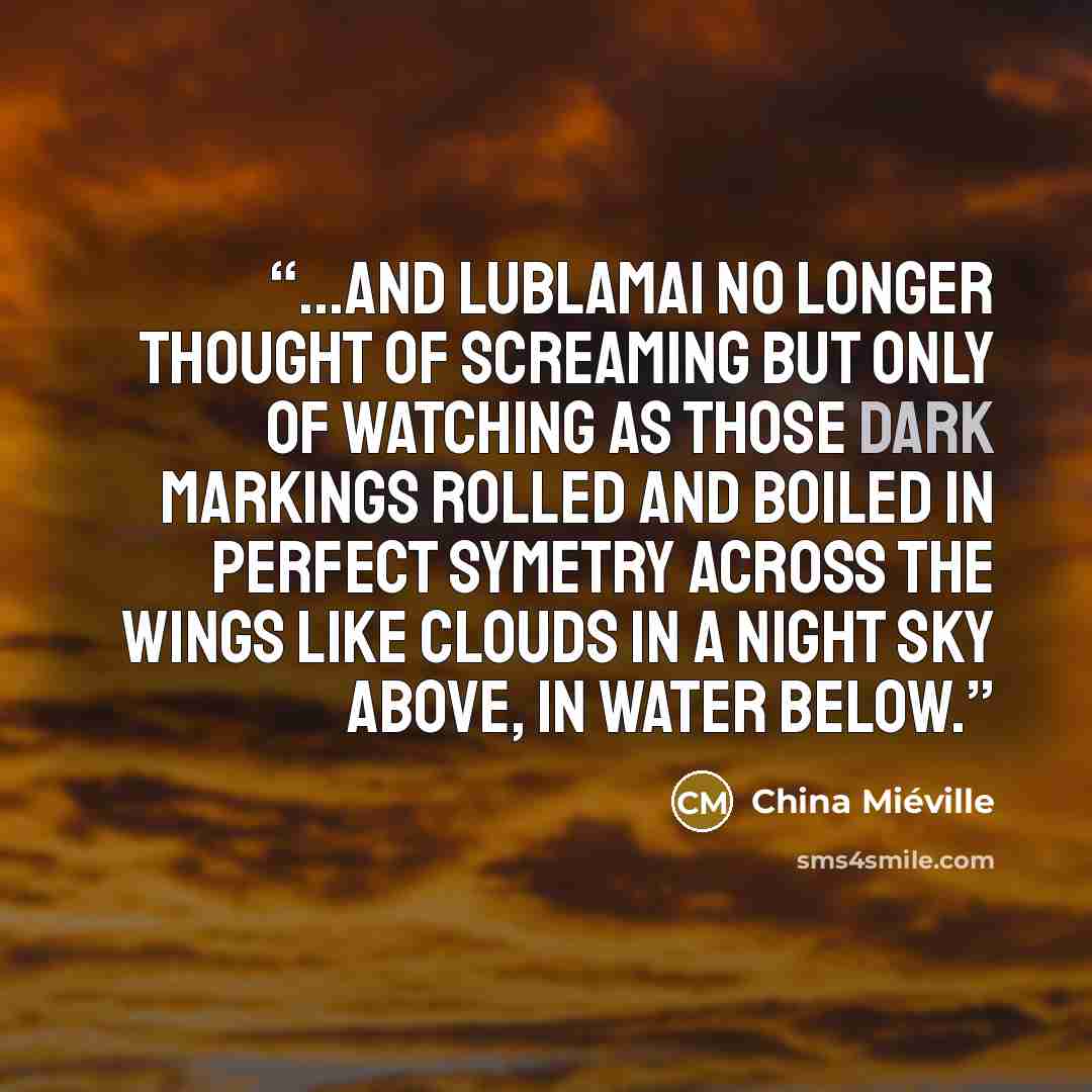“...and Lublamai no longer thought of screaming but only of watching as those dark markings rolled and boiled in perfect symetry across the wings like clouds in a night sky above, in water below.” quote by China Miéville