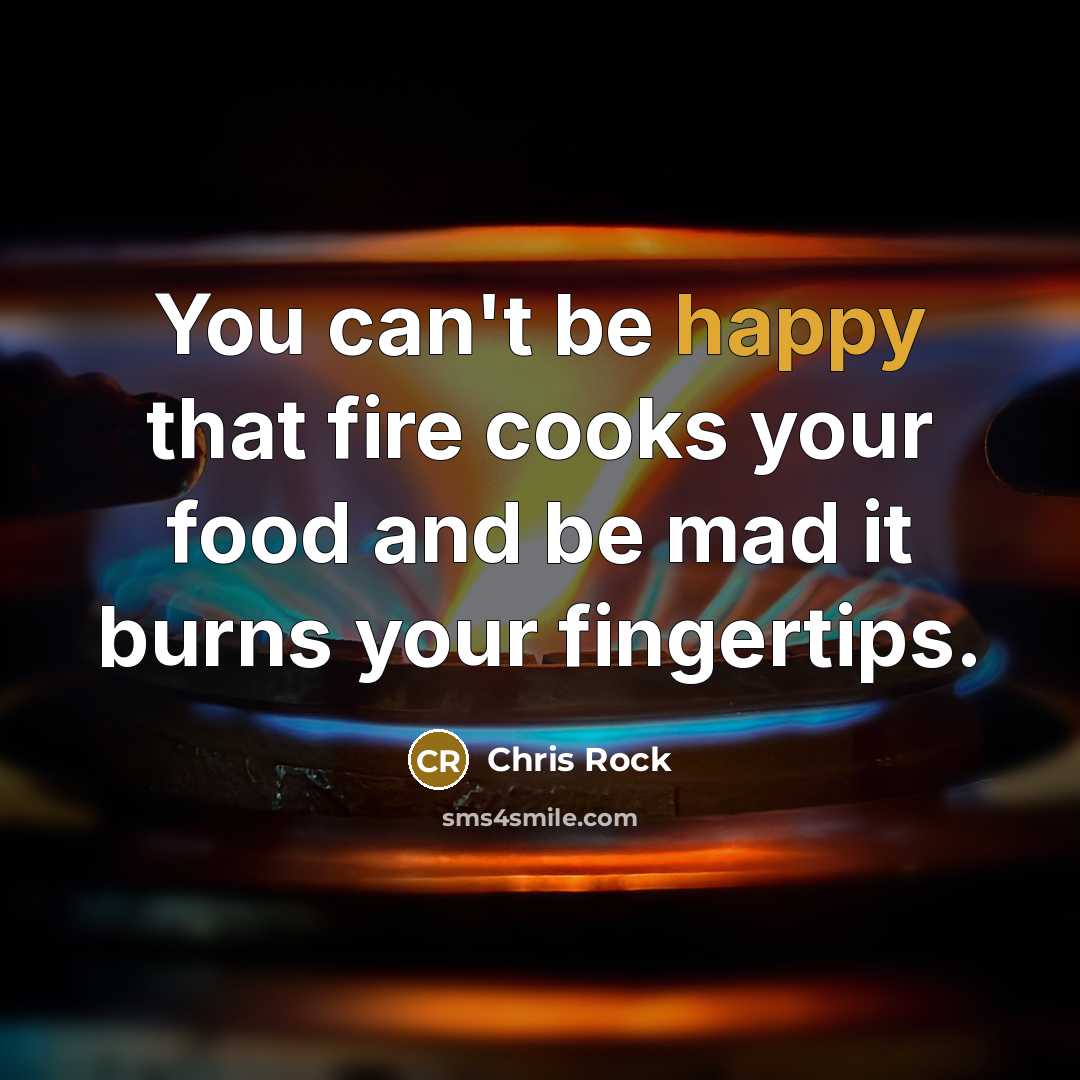 “You can't be happy that fire cooks your food and…” quote by Chris Rock