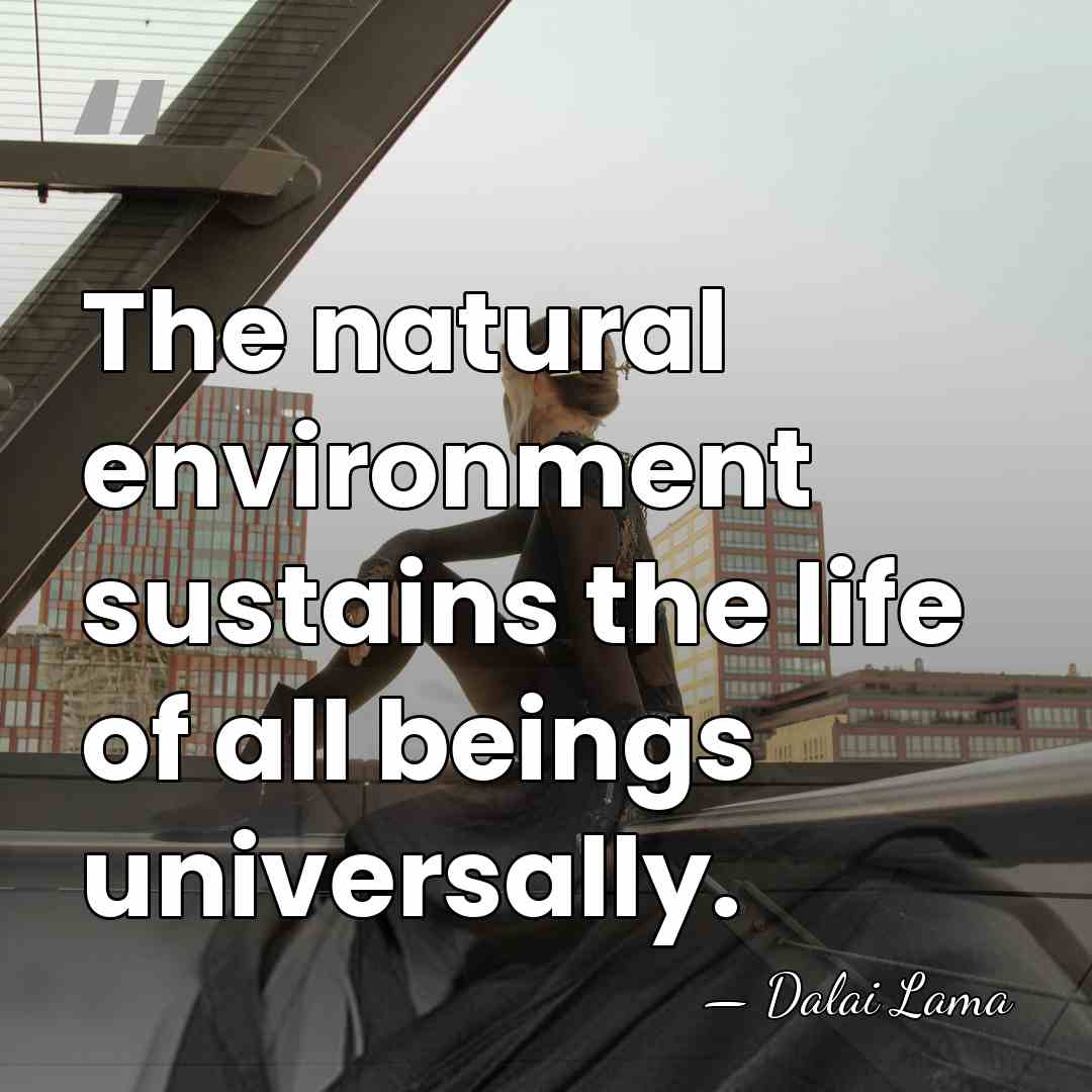 The natural environment sustains the life of all beings universally. - Dalai Lama
