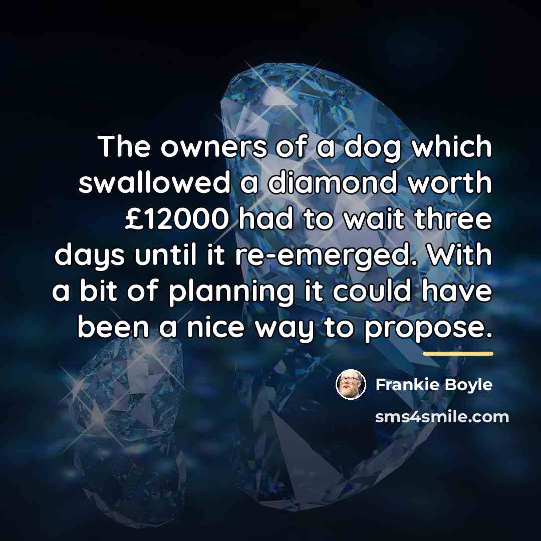 “The owners of a dog which swallowed a diamond worth…” quote by Frankie Boyle