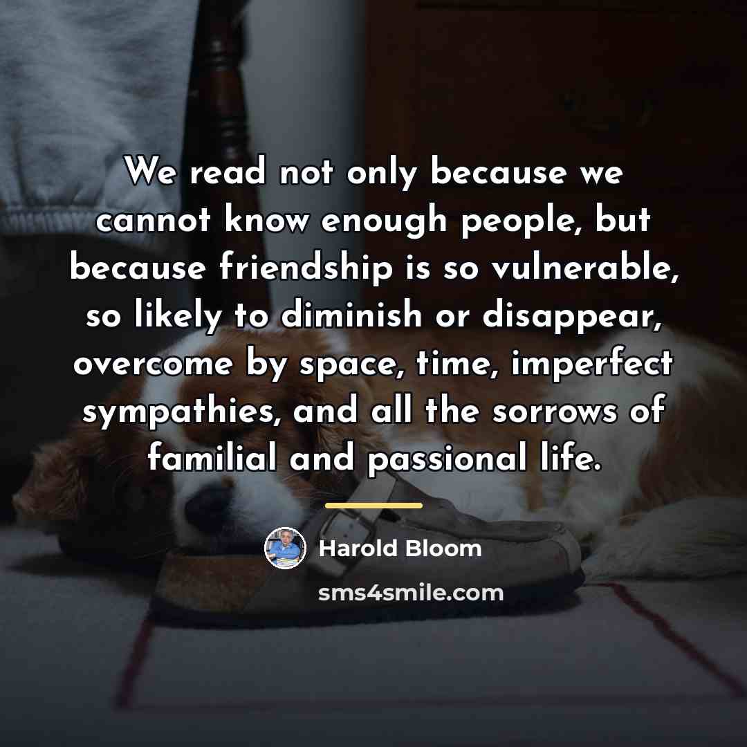 “We read not only because we cannot know enough people,…” quote by Harold Bloom