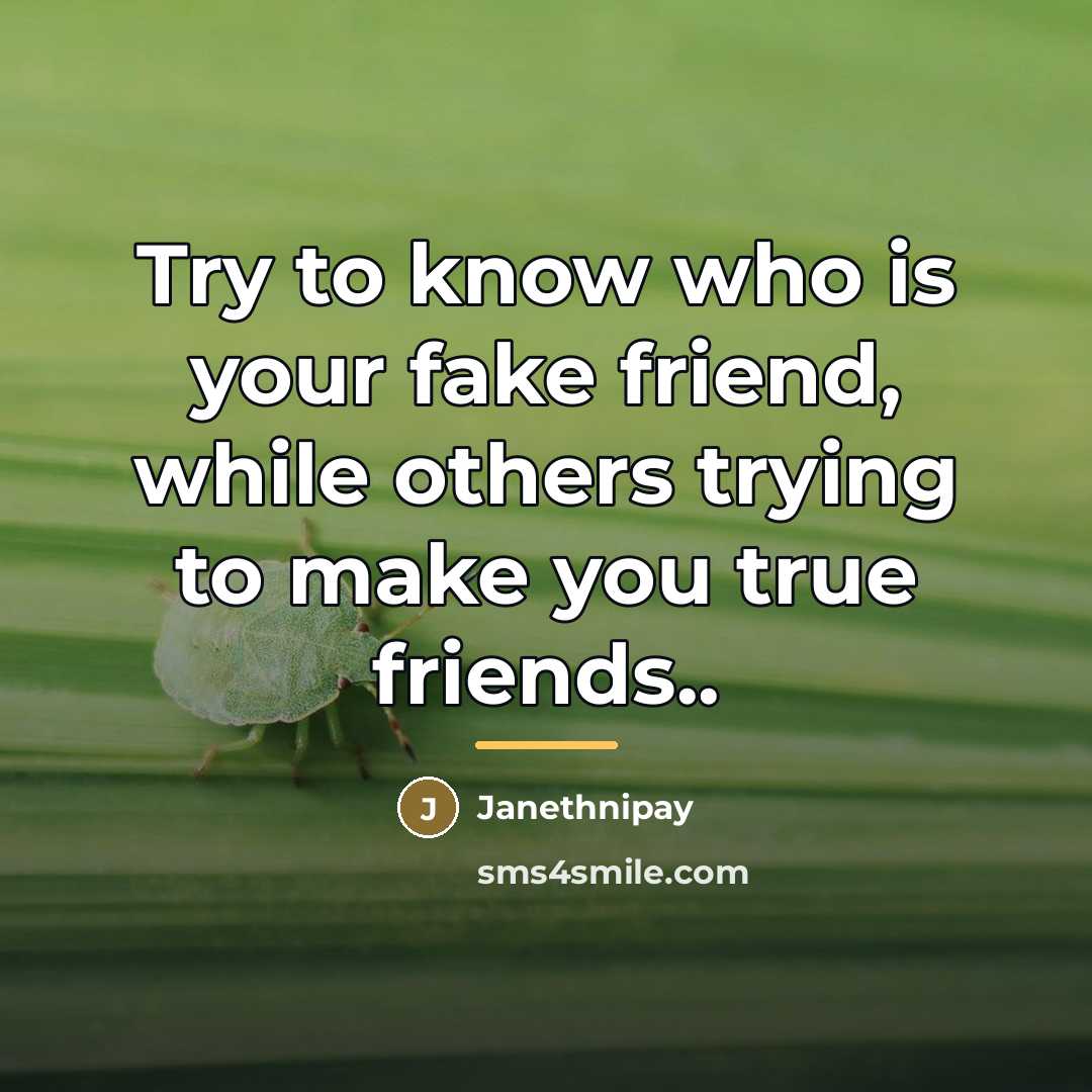“Try to know who is your fake friend, while others…” quote by Janethnipay