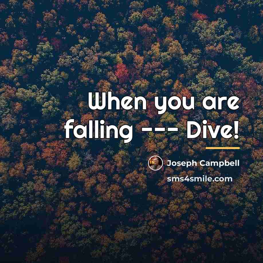 “When you are falling --- Dive!…” quote by Joseph Campbell
