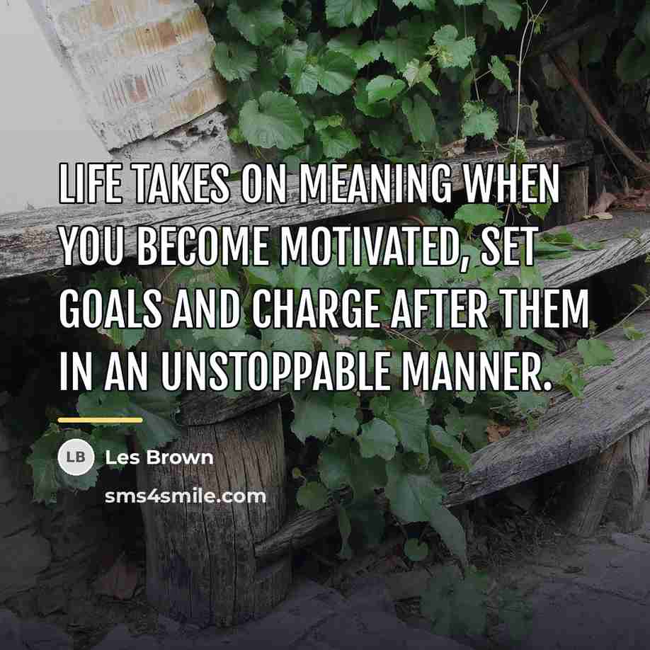 “Life takes on meaning when you become motivated, set goals…” quote by Les Brown