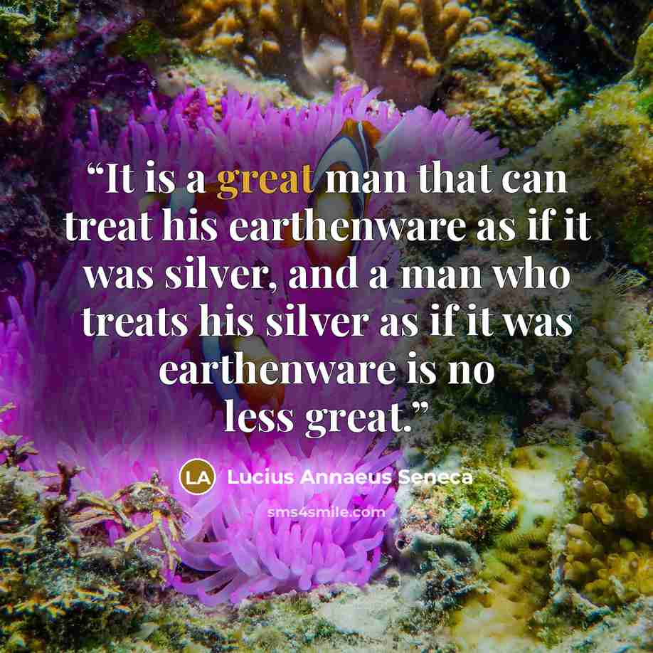 “It is a great man that can treat his earthenware as if it was silver, and a man who treats his silver as if it was earthenware is no less great.” quote by Lucius Annaeus Seneca