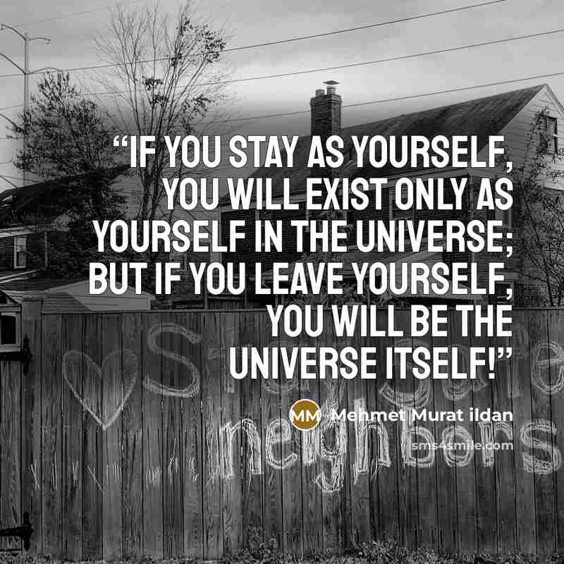 “If you stay as yourself, you will exist only as yourself in the universe; but if you leave yourself, you will be the universe itself!” quote by Mehmet Murat ildan