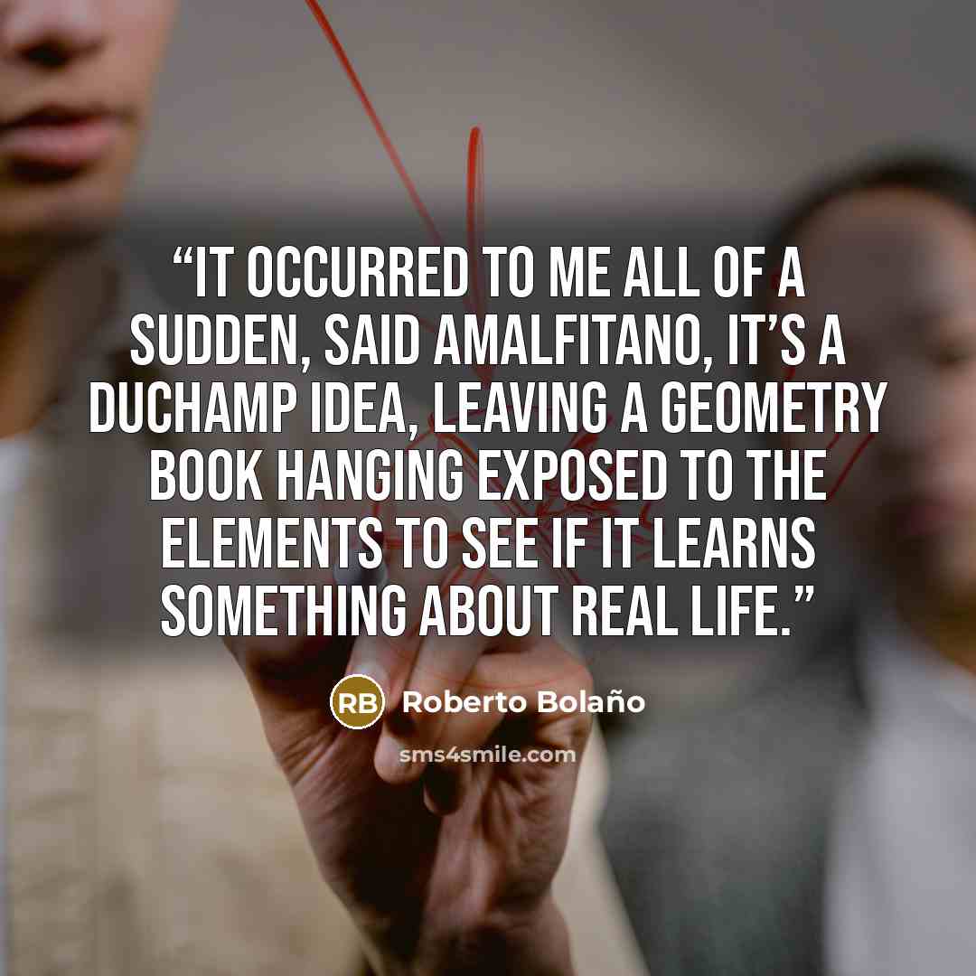 “It occurred to me all of a sudden, said Amalfitano, it’s a Duchamp idea, leaving a geometry book hanging exposed to the elements to see if it learns something about real life.” quote by Roberto Bolaño