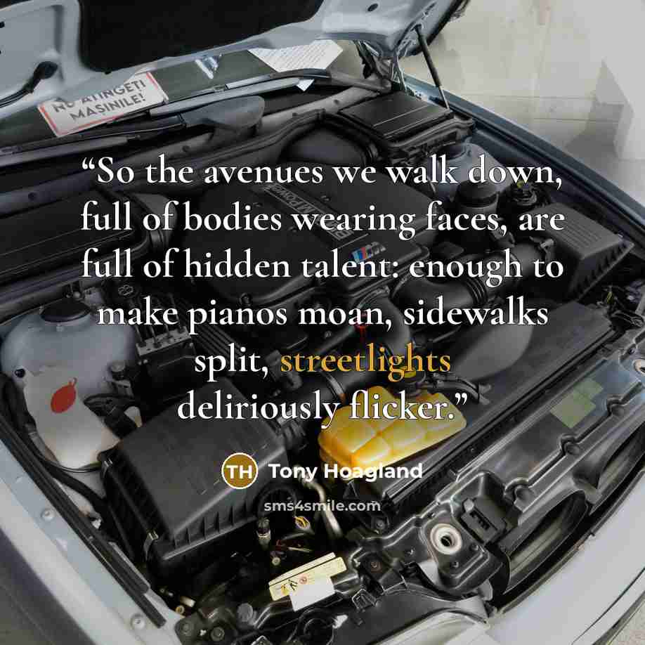 “So the avenues we walk down, full of bodies wearing faces, are full of hidden talent: enough to make pianos moan, sidewalks split, streetlights deliriously flicker.” quote by Tony Hoagland