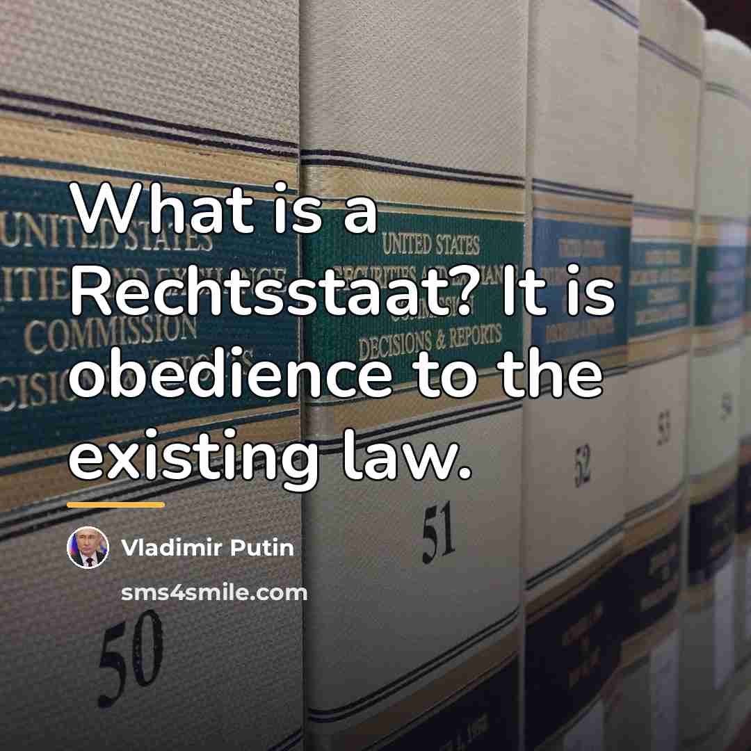 “What is a Rechtsstaat? It is obedience to the existing…” quote by Vladimir Putin